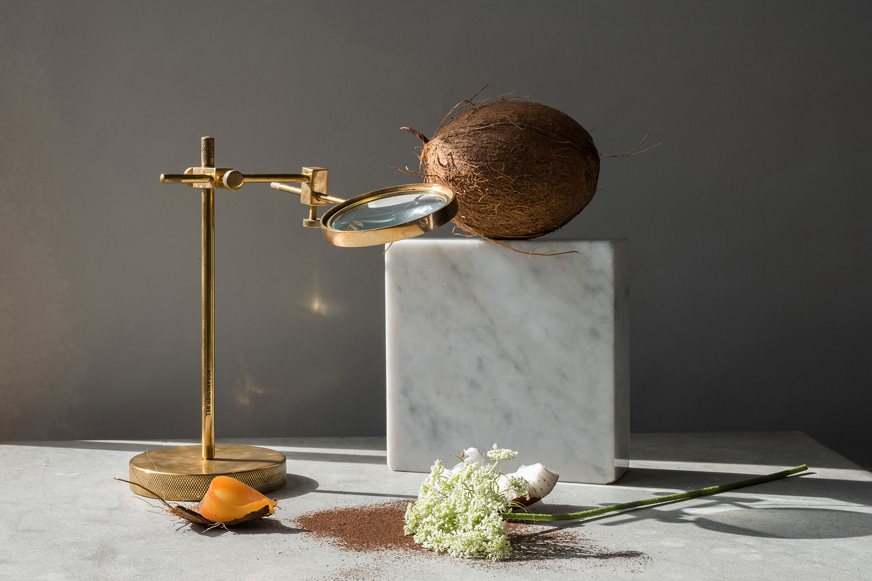 journal campaign blog design