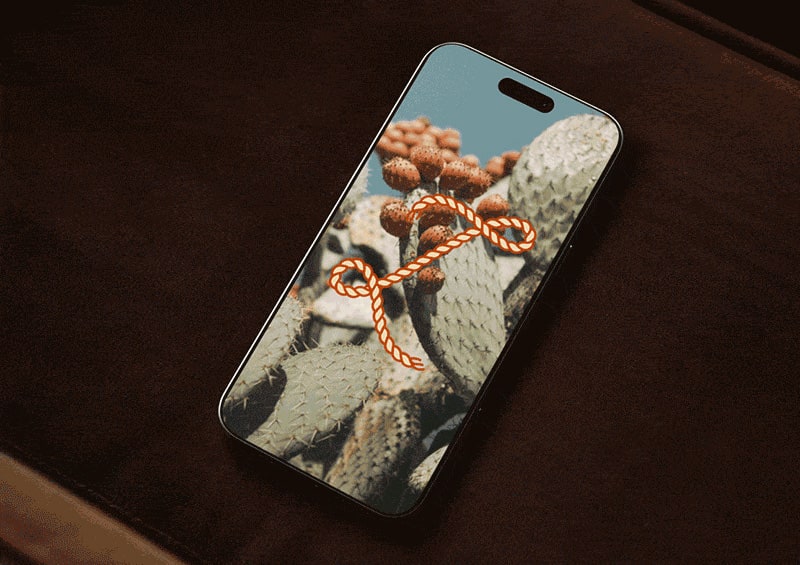 website booking restaurant